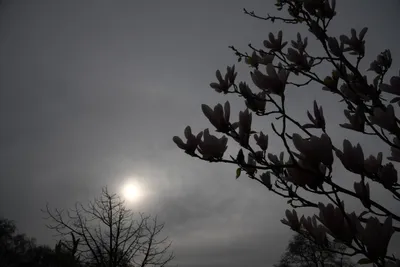 DSC_6929 (Large).JPG